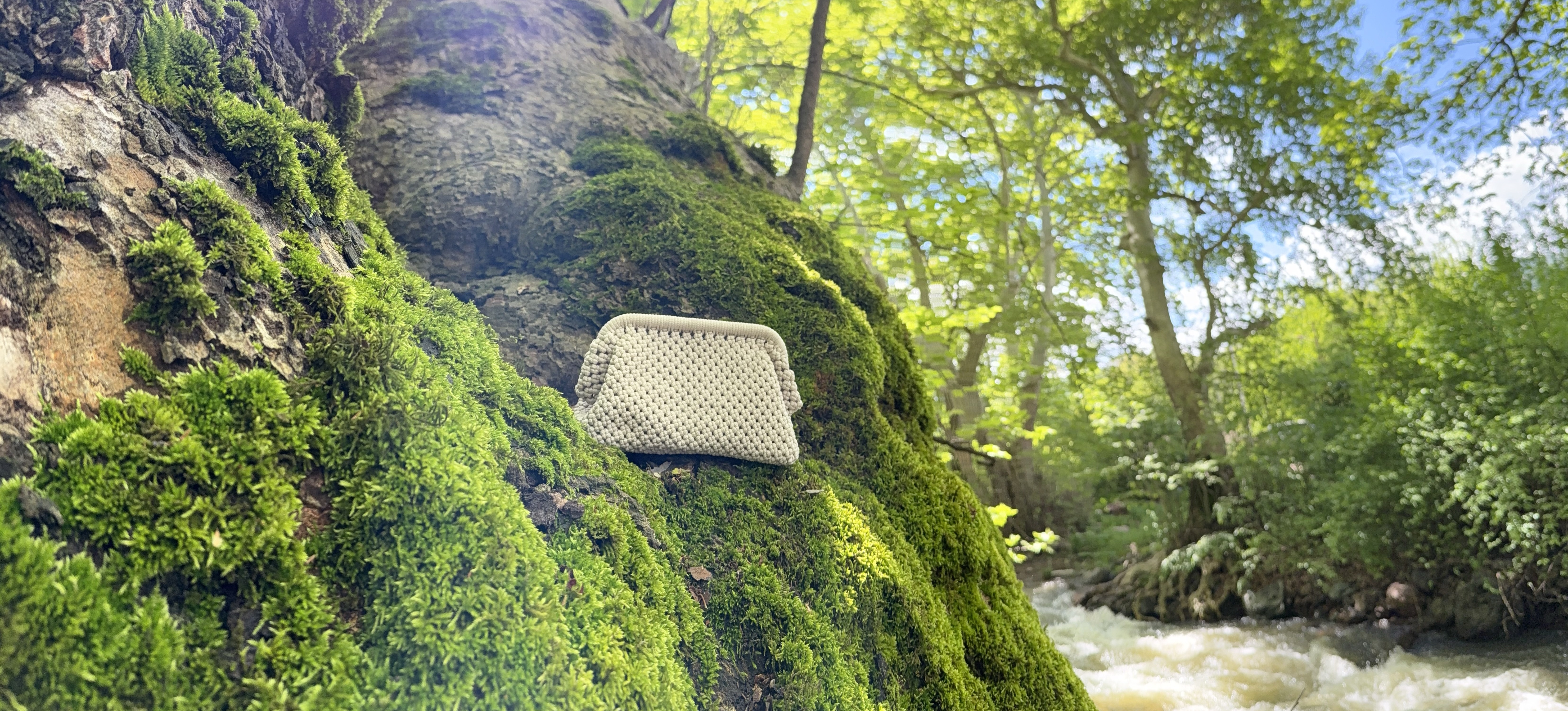Woven clutch on a mossy tree trunk beside a forest stream.